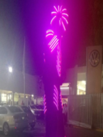 SERVICIO DE VOLANTEO PARA EMPRESAS EN CDMX